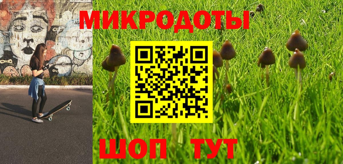 Галлюциногенные грибы Psilocybine cubensis Реж