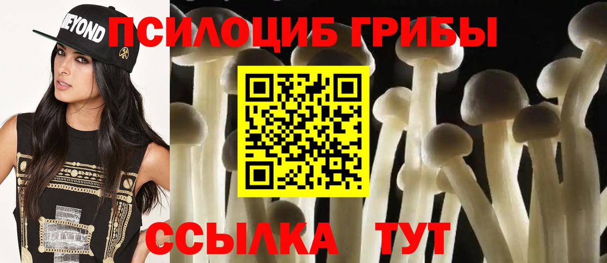 Галлюциногенные грибы мухоморы  как найти   Реж  Вход с VPN  Псилоцибиновые грибы прущие грибы 